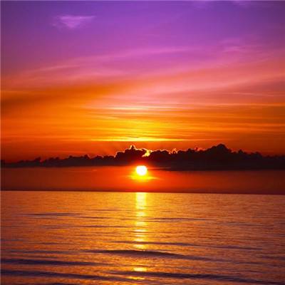 bsport体育在线登录